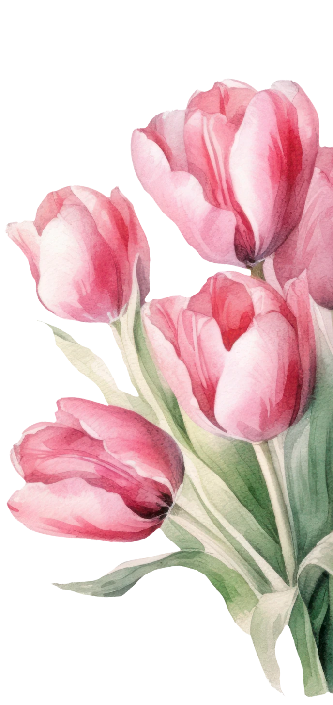 Hibiscus Image